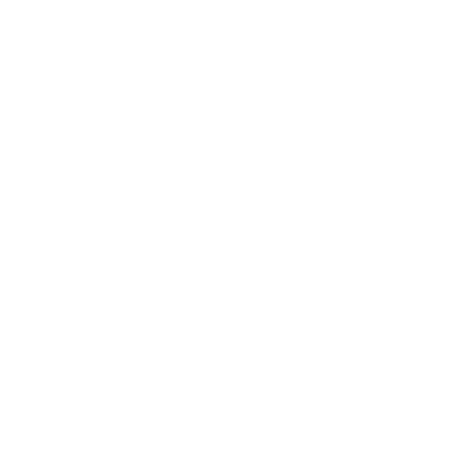 Our Vision